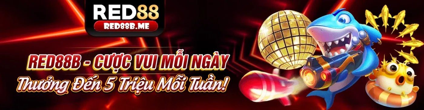 Cookie phân tích hiệu suất SCV388 giúp cải thiện trải nghiệm người dùng